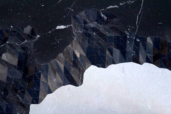 ZACHARY EASTWOOD - BLOOM