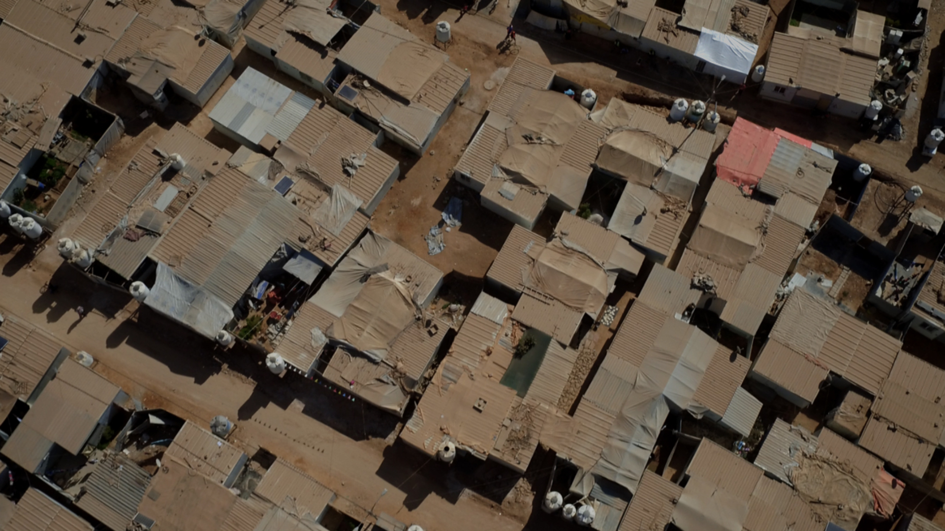 MARGHERITA MOSCARDINI